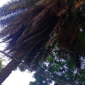 Meet your Posher, Hamzashaikh